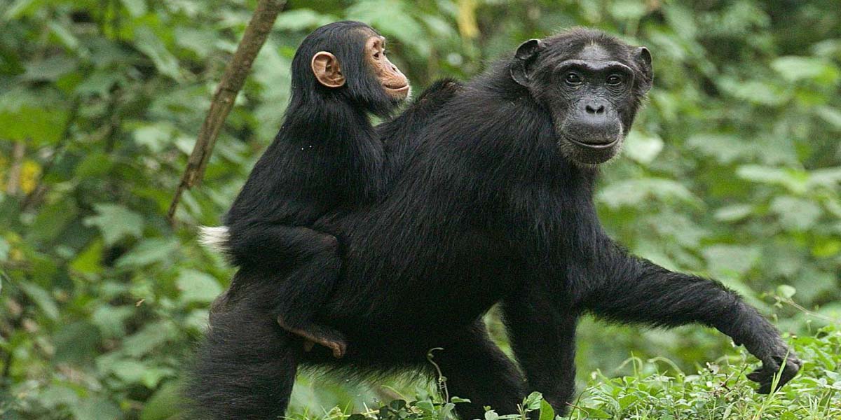 Rwanda