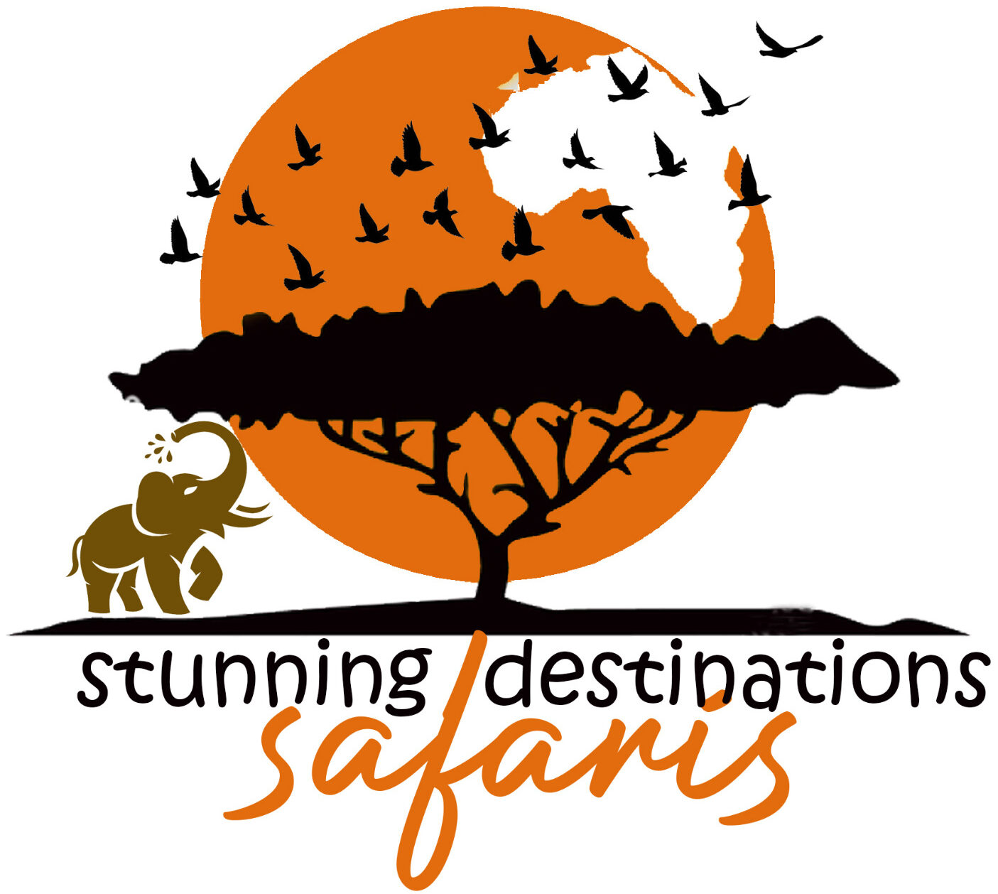 Stunning Destinations Safaris