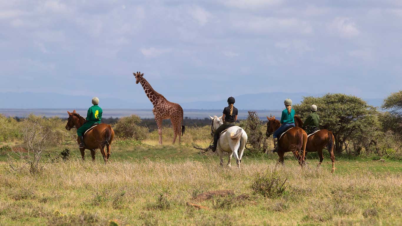 Horse Riding in Loisaba conservancy