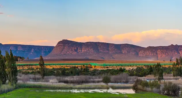 Luxury African Safaris