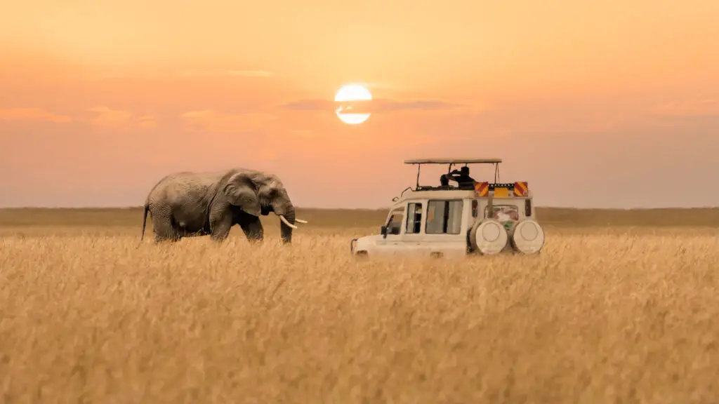 Travel tips 3 Ndutu Genesis