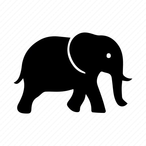 Wildlife watching Experience