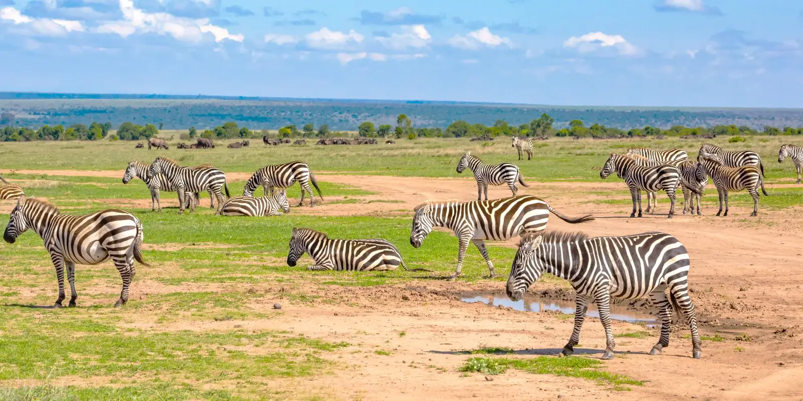 DAY 5 &Samburu to Ol pejeta Conservancy