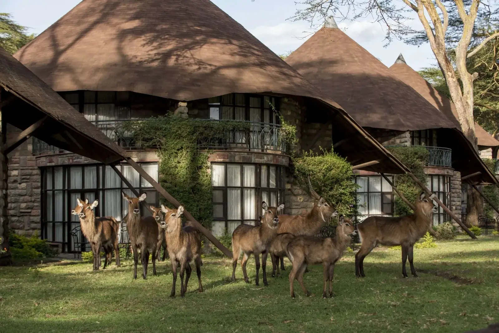 Lake Naivasha