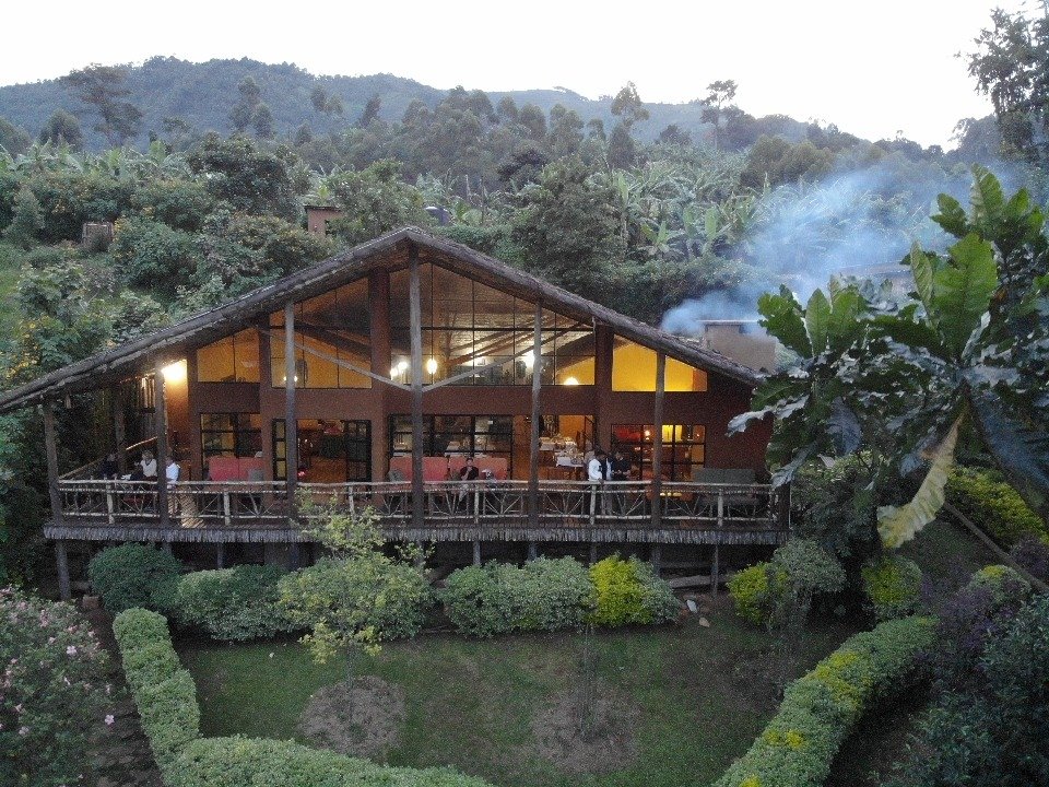 Day 4 - 5 : Volcanoes to Bwindi Impenetrable Forest National Park