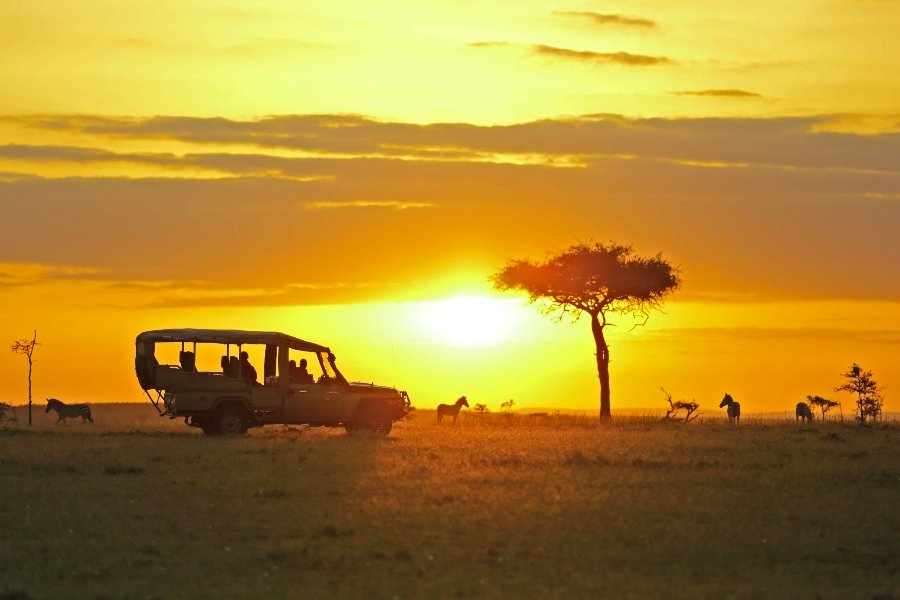 Kenya 15 Game Drives