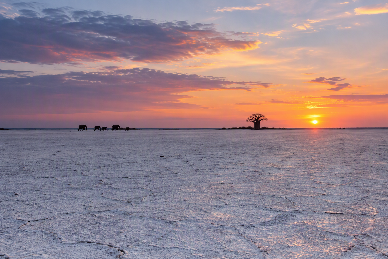 Makgadikgadi Pans Botswana