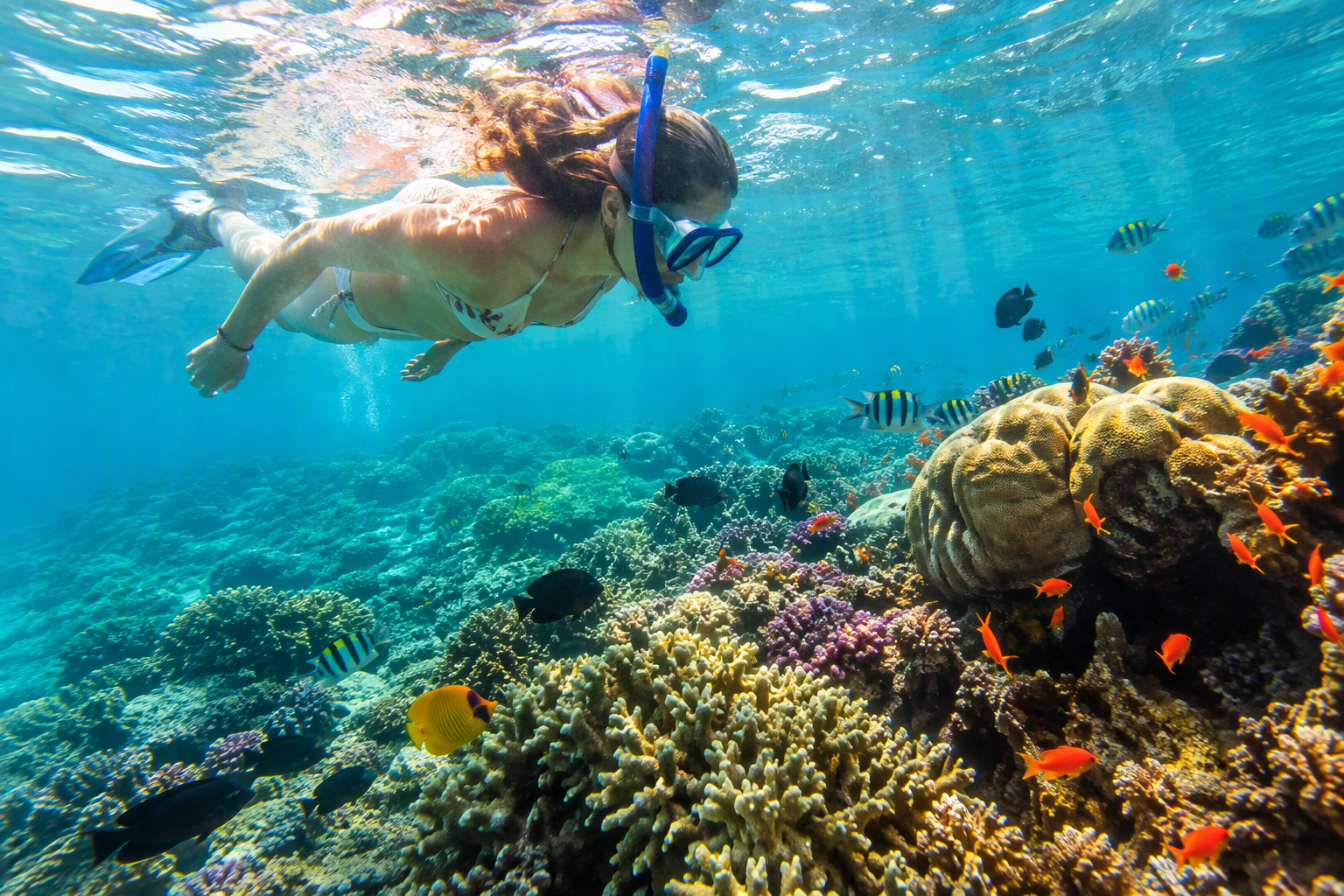 Kenya 18 Ocean Adventures
