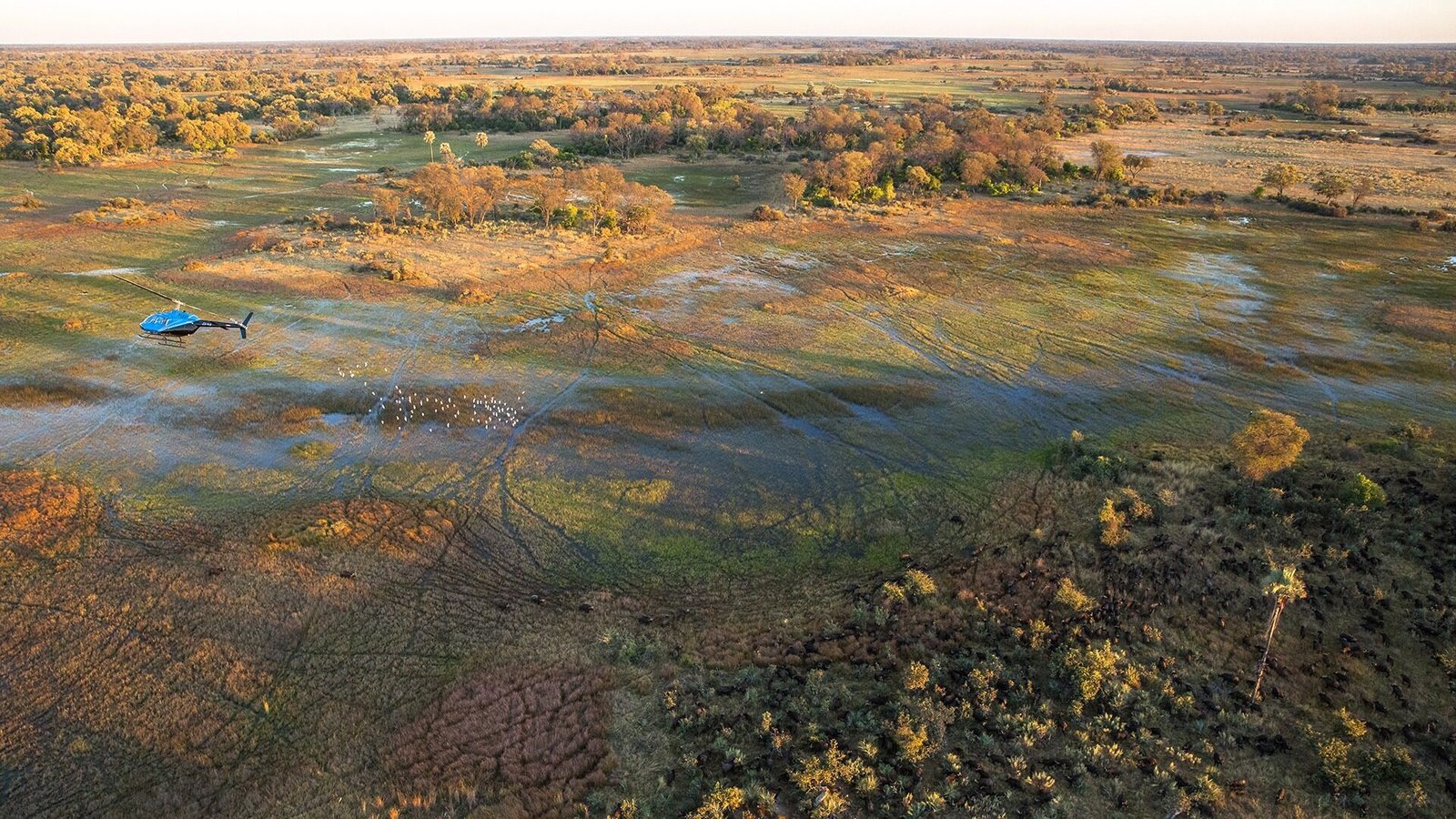 Botswana safari landscape