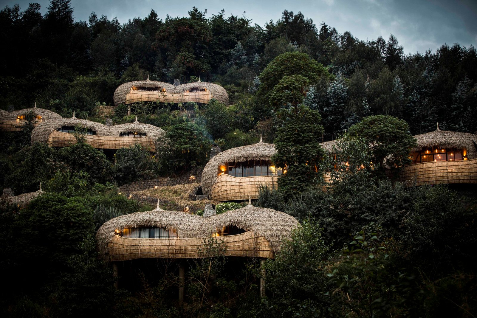 Rwanda 9 Wilderness Bisate